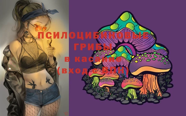 мдпв Верея