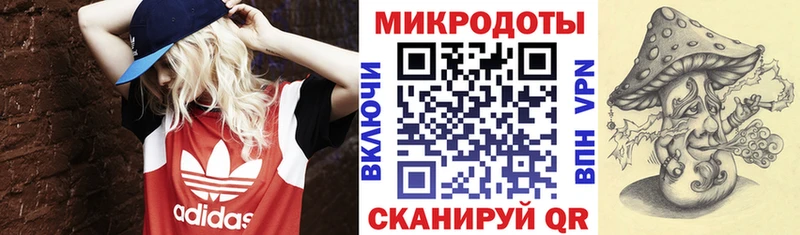 Псилоцибиновые грибы мицелий  Купить закладки  Петухово 